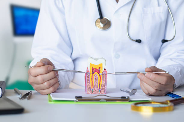 Best Emergency Dental Care for Broken or Chipped Teeth in Glencoe, MN